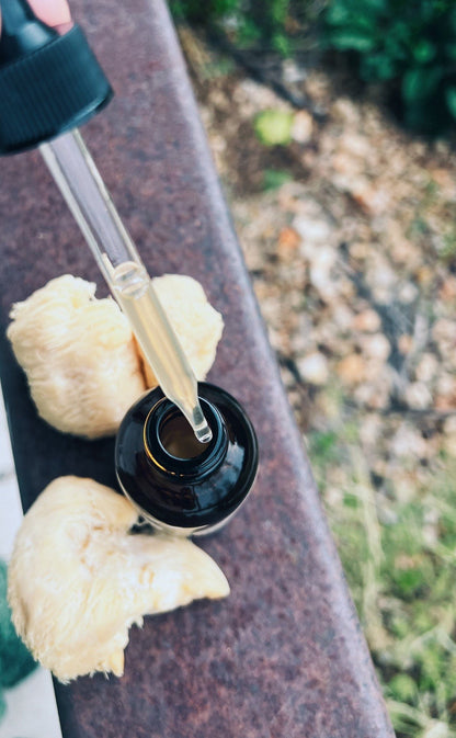 Lion’s Mane Extract
