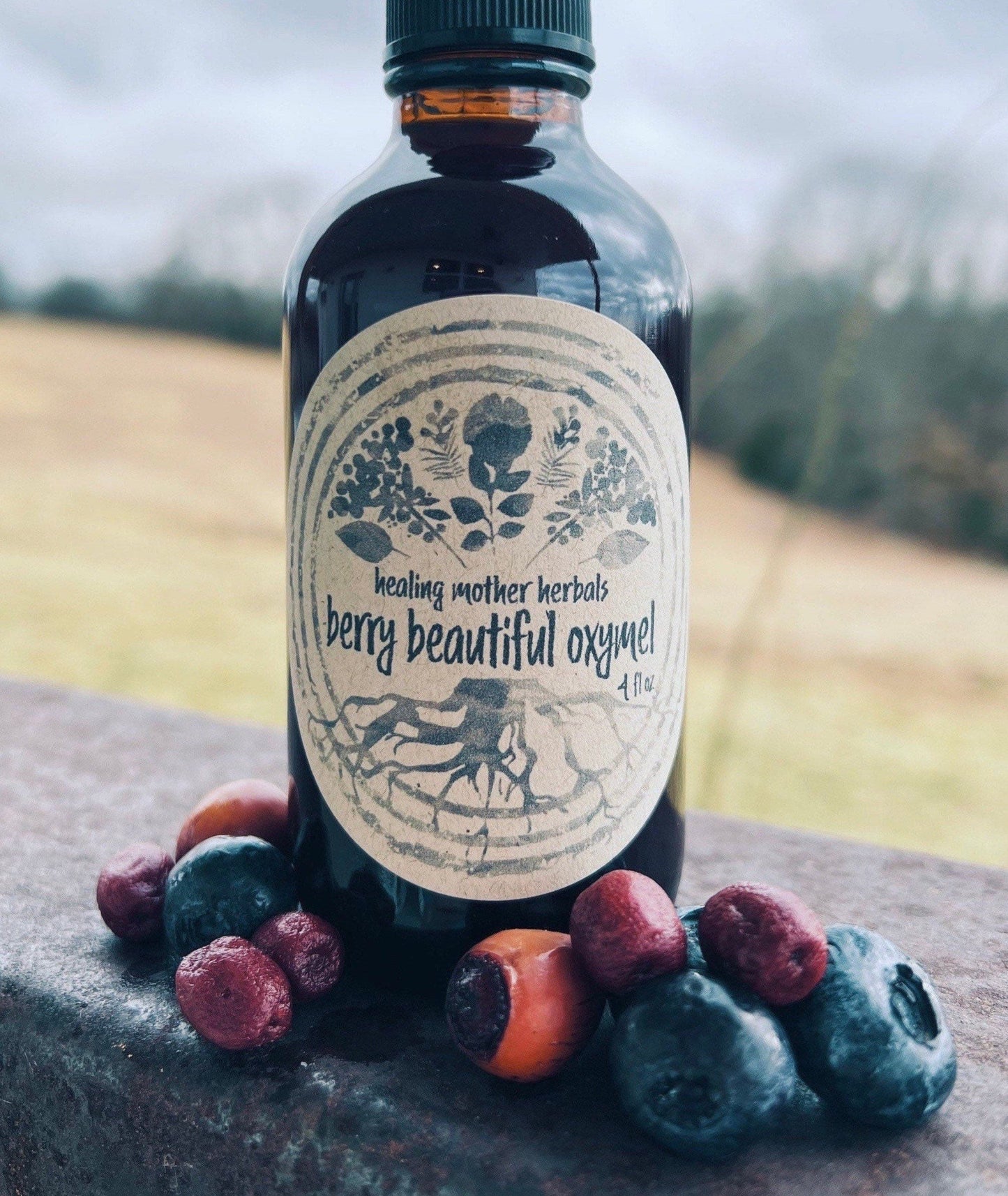 Berry Beautiful Oxymel