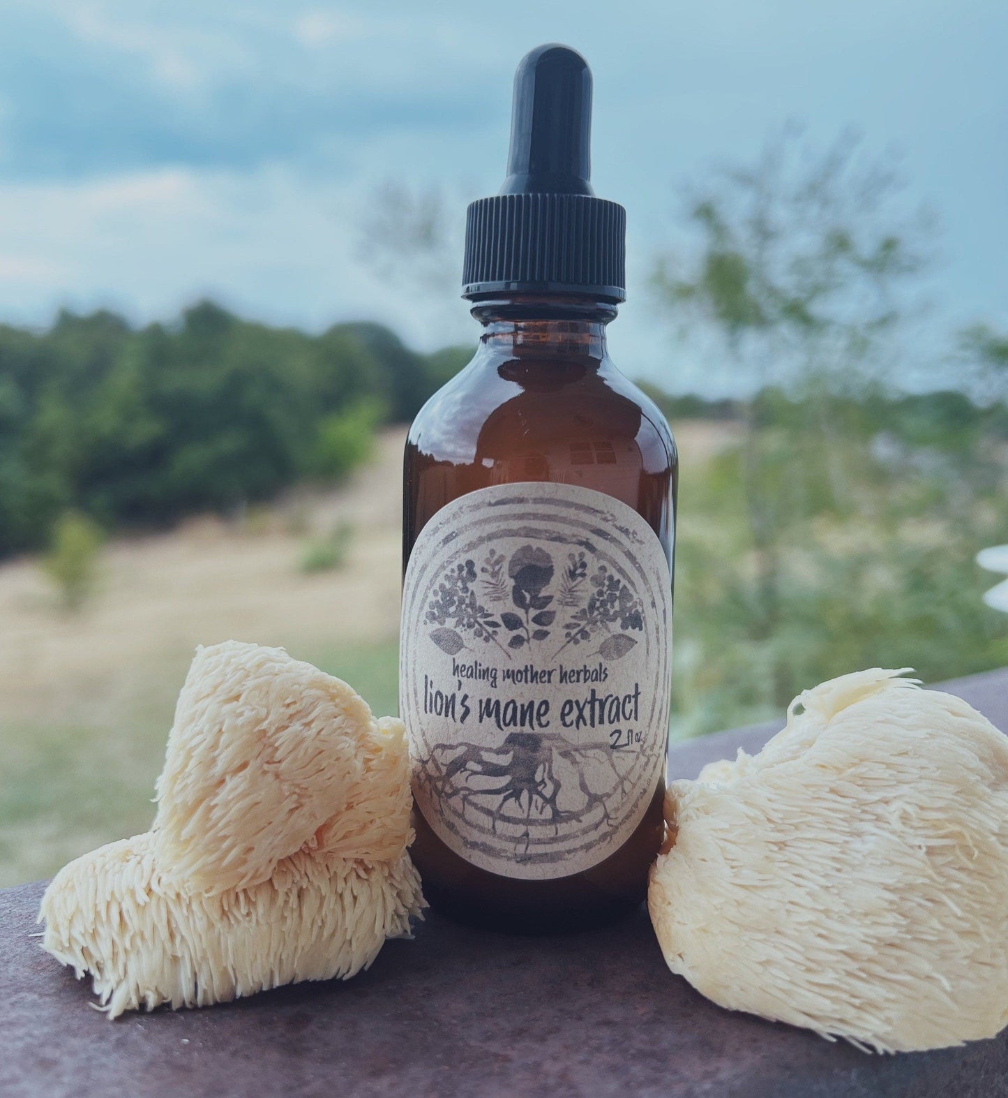 Lion’s Mane Extract