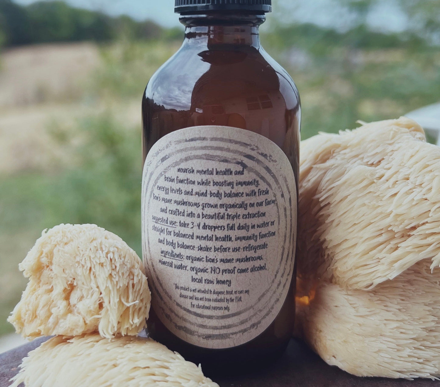 Lion’s Mane Extract