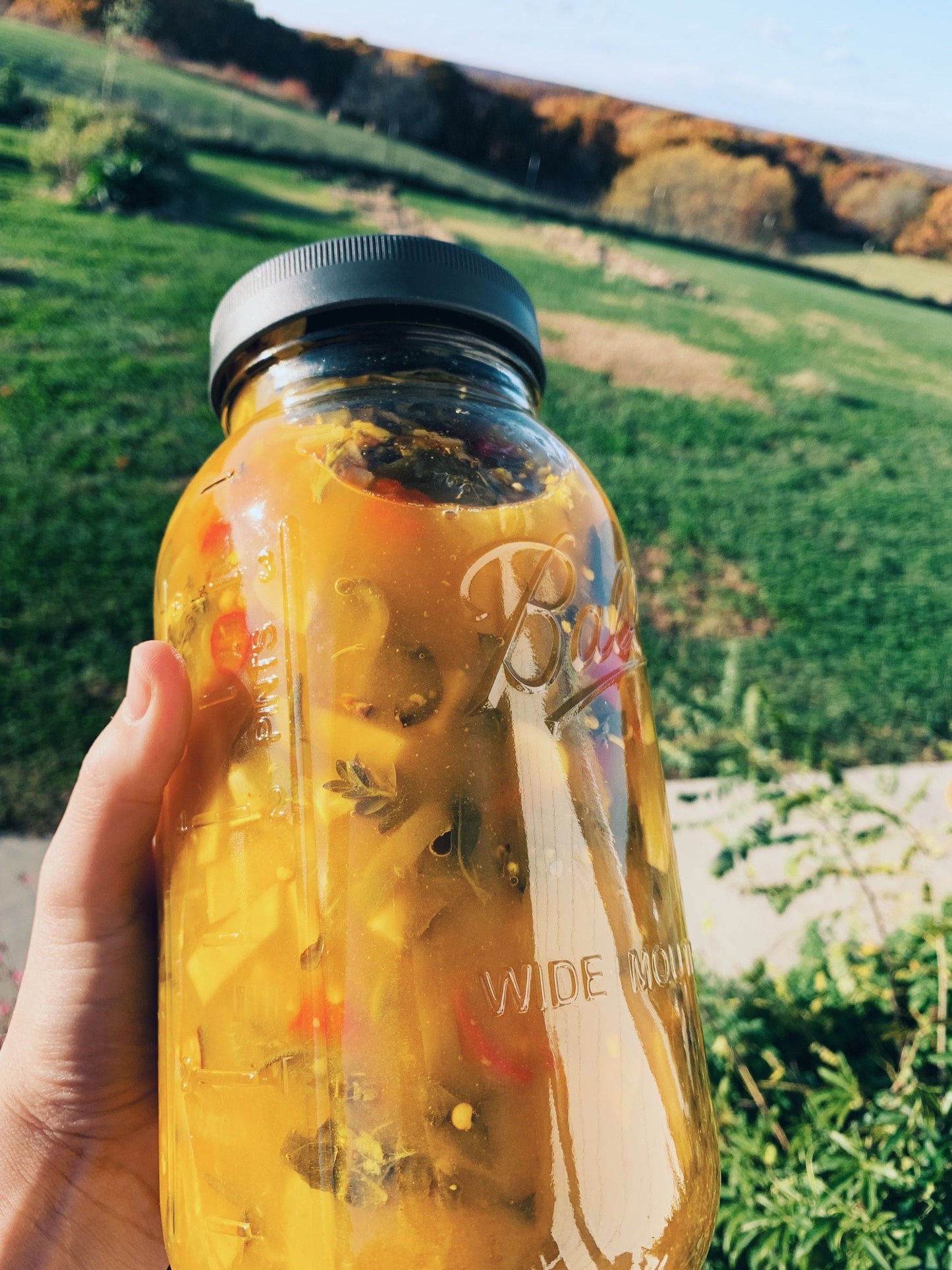 Fire Cider