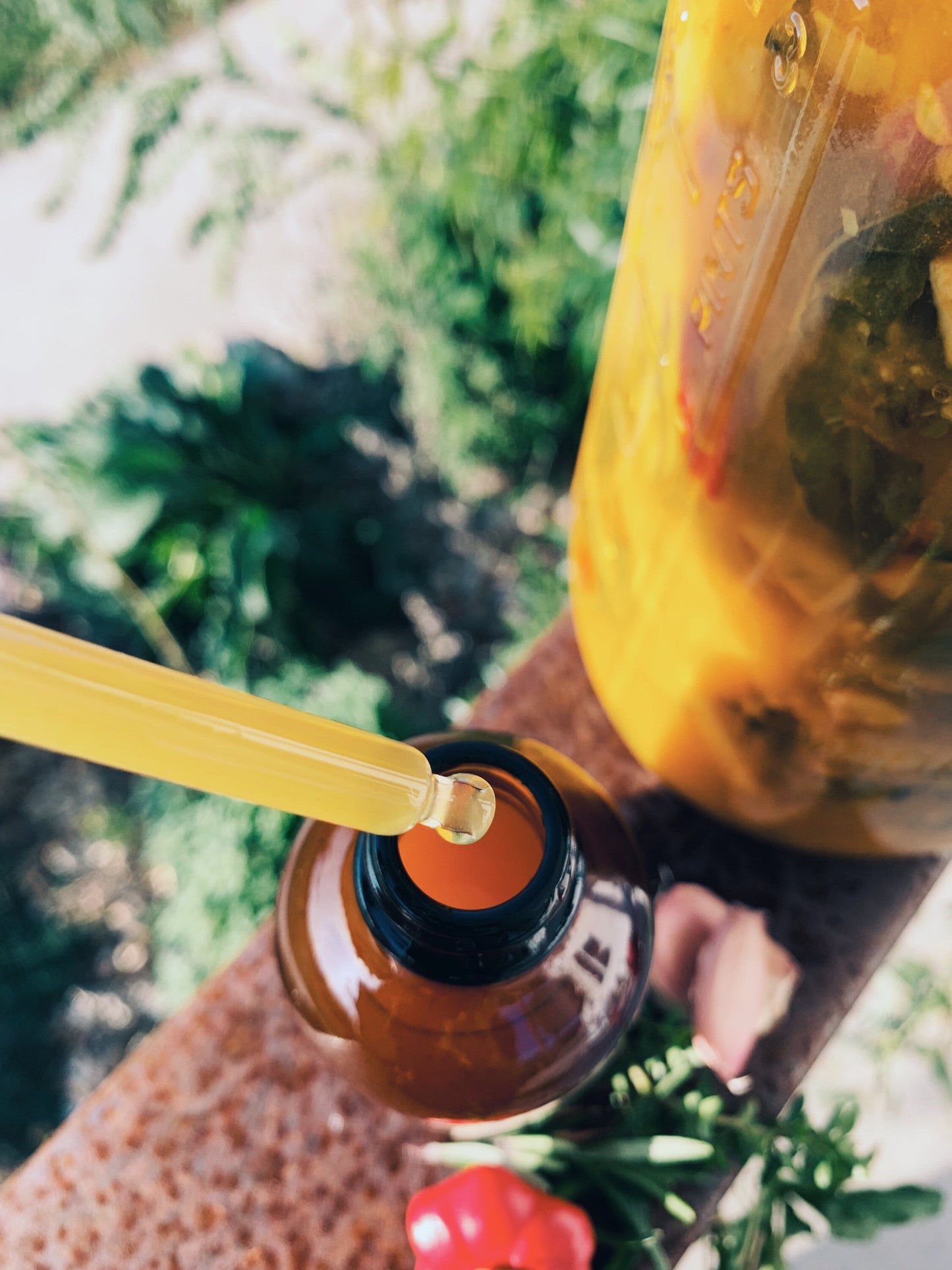 Fire Cider