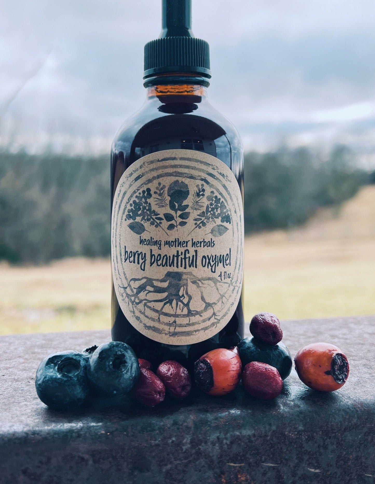 Berry Beautiful Oxymel