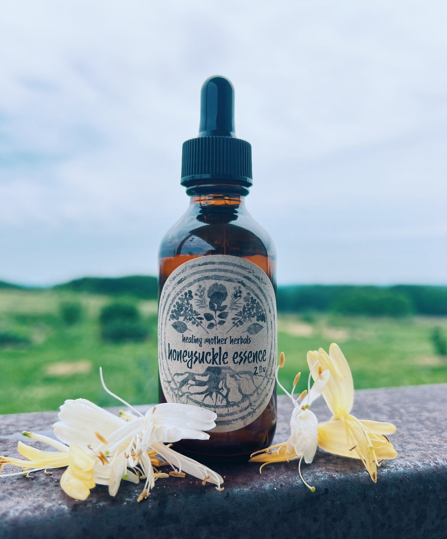 Honeysuckle Flower Essence