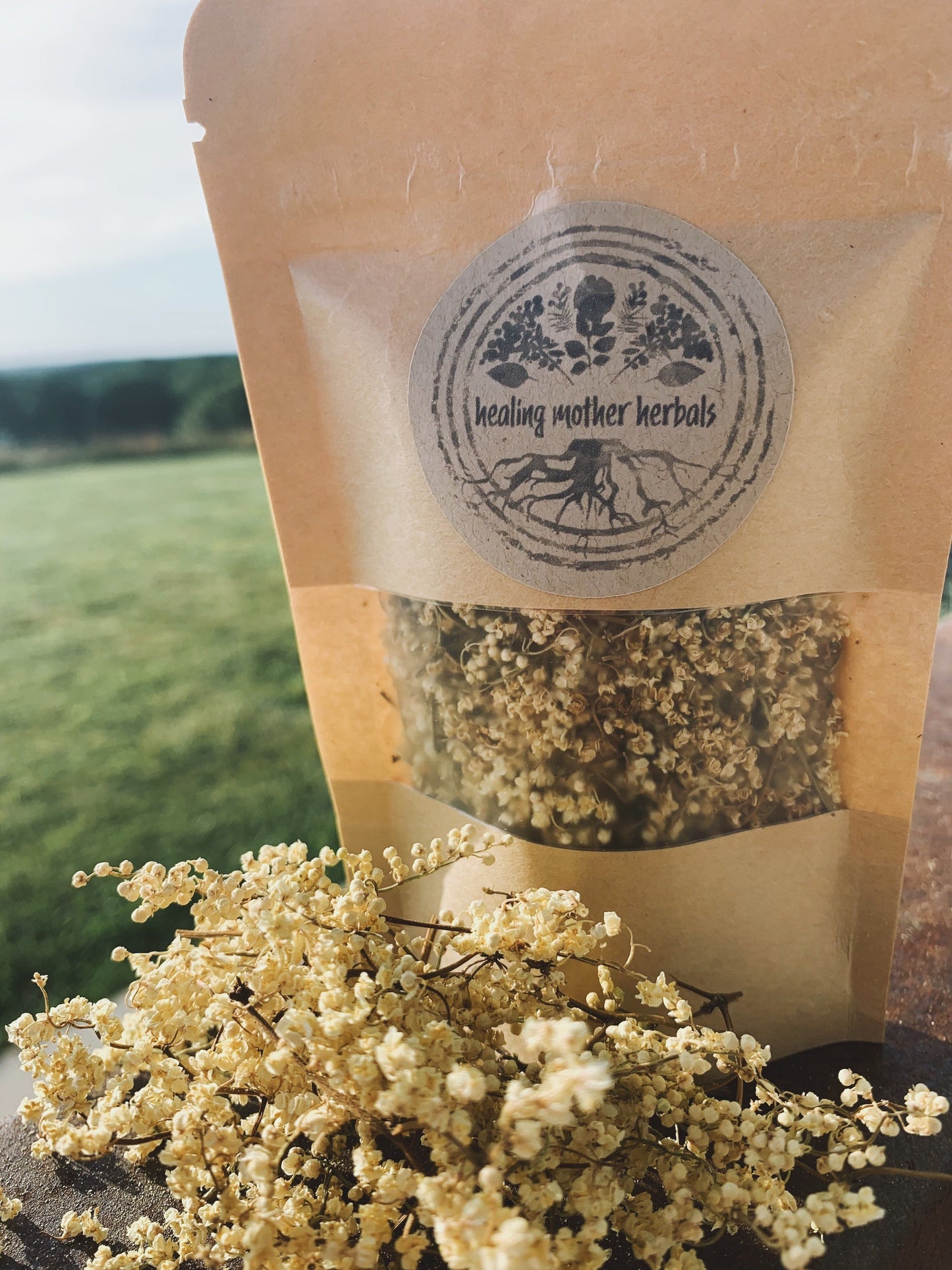 Dried Elderflowers