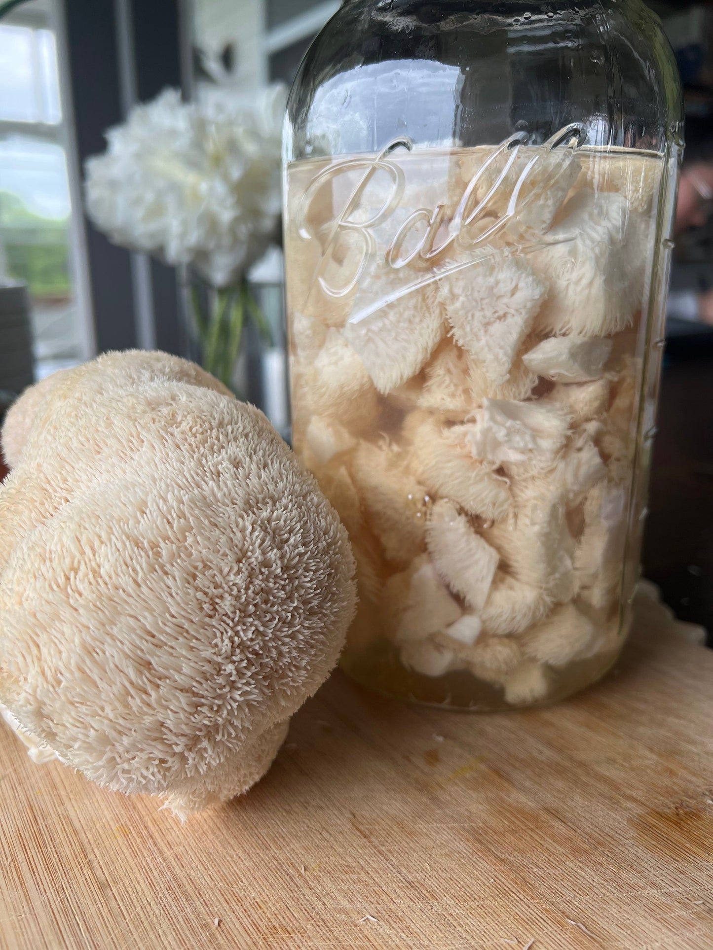 Lion’s Mane Extract