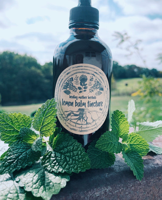 Lemon Balm Tincture