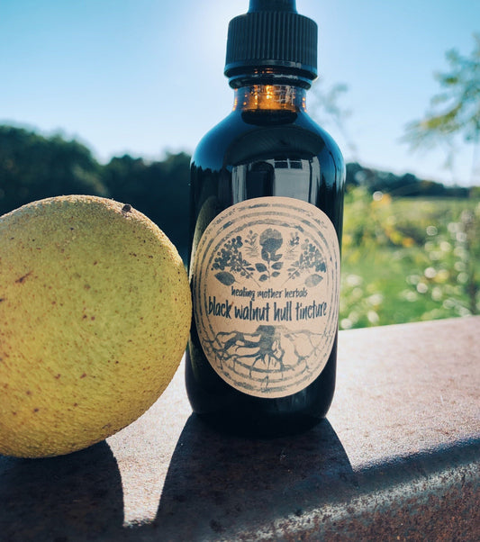 Black Walnut Hull Tincture