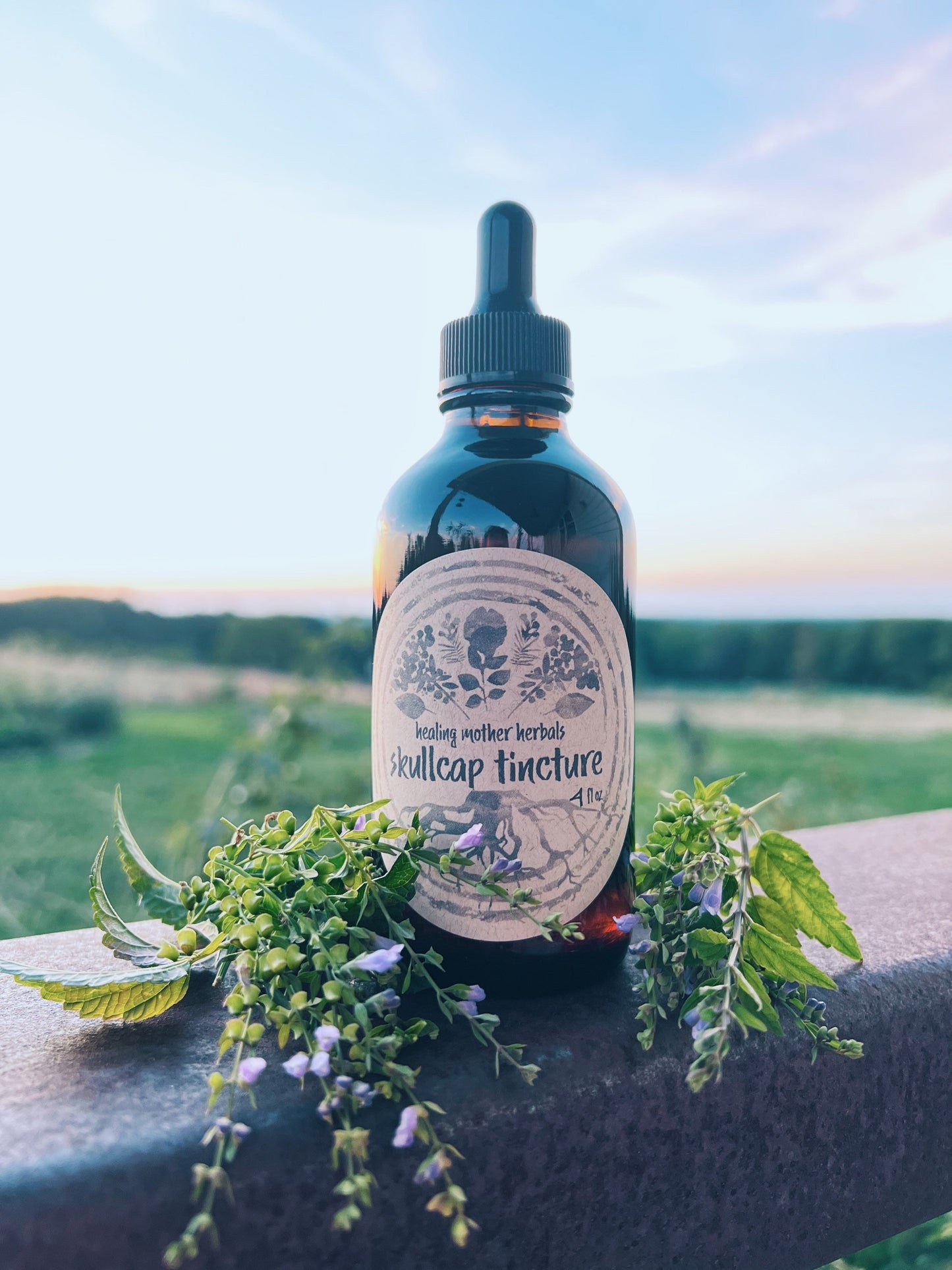 Skullcap Tincture
