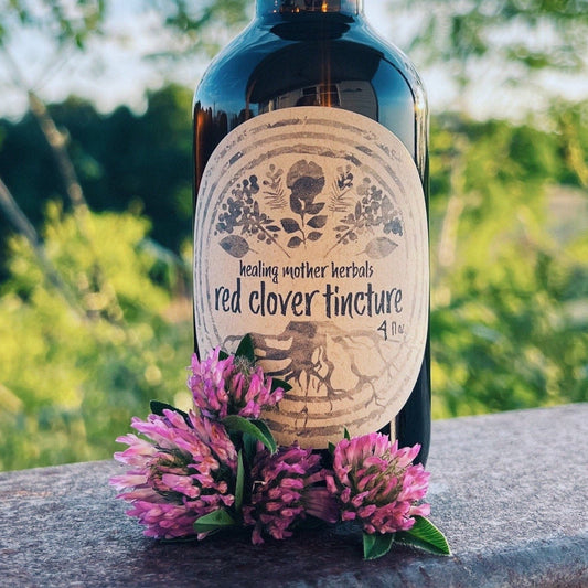 Red Clover Tincture