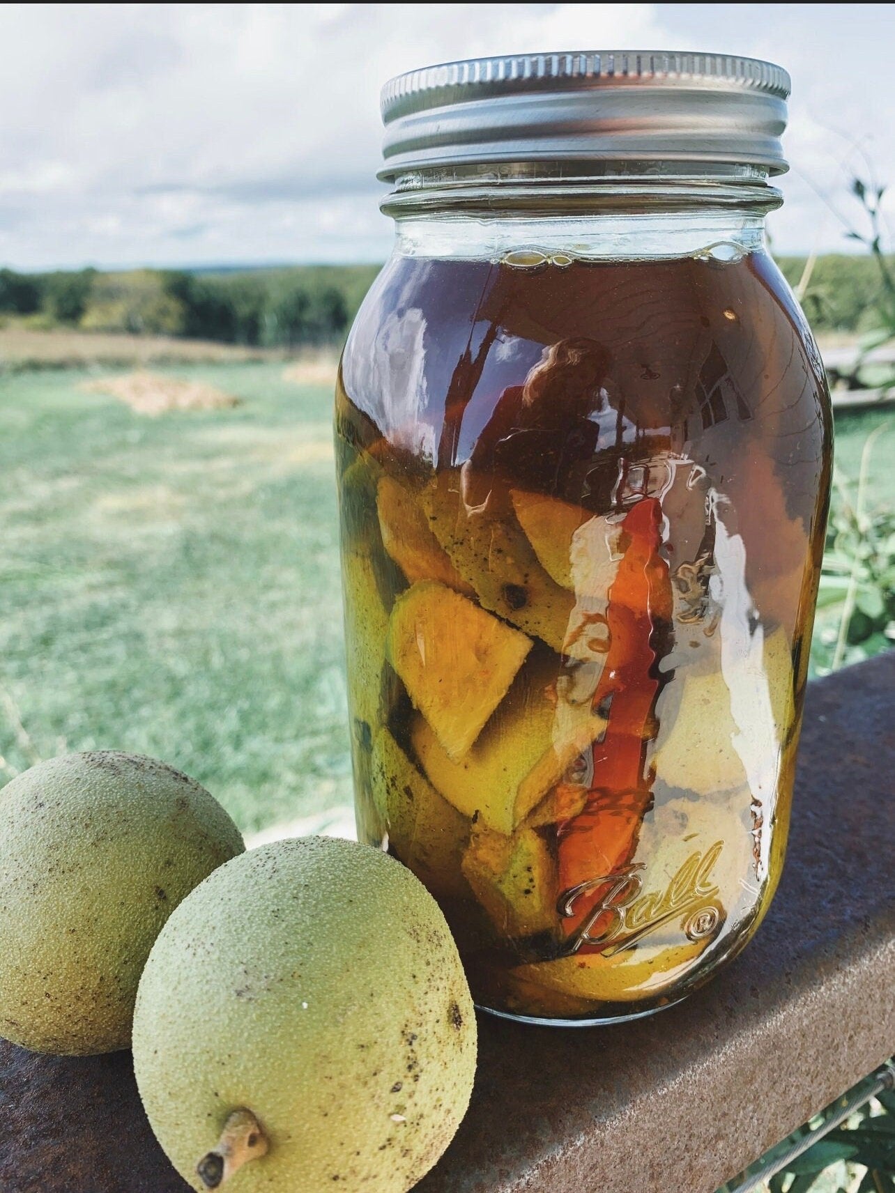 Black Walnut Hull Tincture
